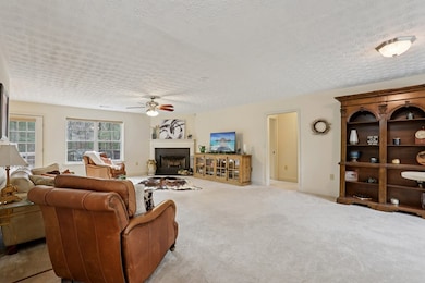 4542 Clear Creek Rd, Ellijay, GA 30536 - photo 4