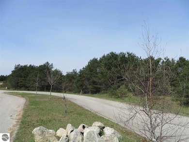 1 Spruce Hollow Trace, Fife Lake, MI 49633 - photo 2