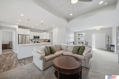 20608 Camelback Ave, Gretna, NE 68028 - photo 5