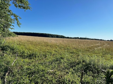 16244 Holden Rd unit B-3, Galien, MI 49113 - photo 4