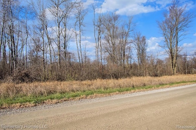 00 S Crawford Rd, Au Gres Township, MI 48749 - photo 4