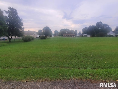 000 Eric Ln, McLeansboro, IL 62859 - photo 5