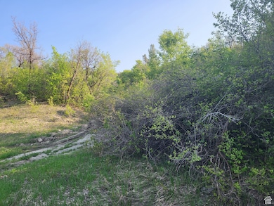 6151 Creekside Dr unit 17, Mountain Green, UT 84050 - photo 3