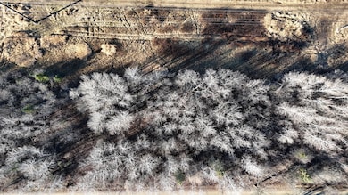 Parcel A Parameter Rd, Deer River, MN 56636 - photo 5