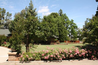This yard is in constant bloom! Such a pleasure to