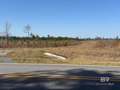 4 County Road 64 unit Lot 4, Robertsdale, AL 36567 - photo 5