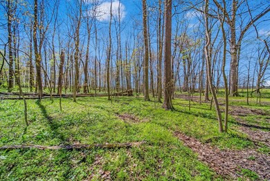 78-web-or-mls-DSC01109