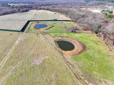 DJI_20241218113551_0115_D