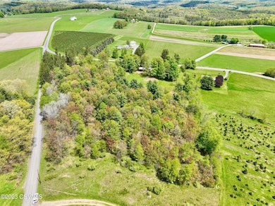 LOT 3 Ridge Rd, Benton, PA 17814 - photo 3