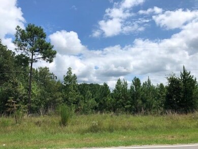 Lot 2 Brewer Rd, Louisburg, NC 27549 - photo 3