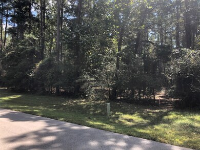 14 Pelican St, Magnolia, TX 77355 - photo 2