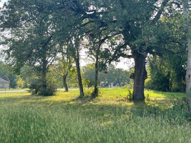 Lot 592 & Slip B30 Clear Water Ct, Corsicana, TX 75109 - photo 4