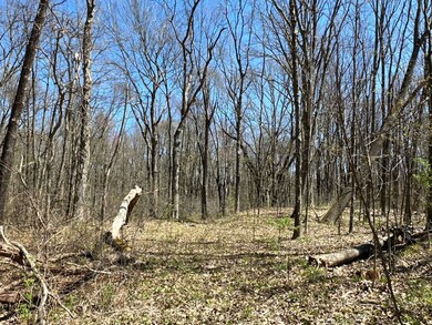 00WP Wemple Rd, Glenmont, NY 12077 - photo 3