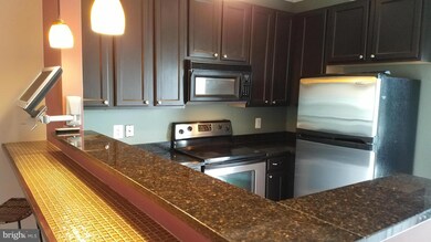 22575 Blue Elder Terrace, Ashburn, VA 20148 - photo 6