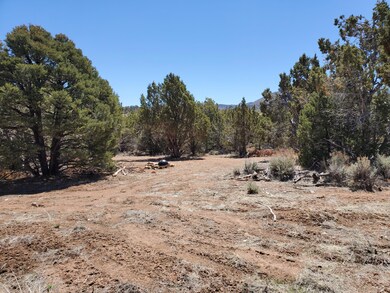 3406 S Comstock Rd unit PARCEL 3, LOT 12, BL, Cedar City, UT 84720 - photo 6