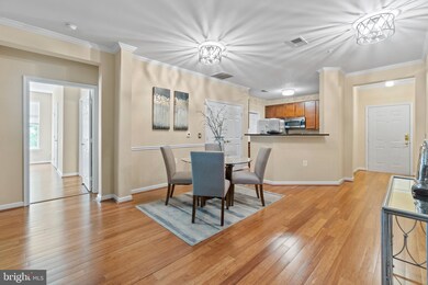 4310 Cannon Ridge Ct unit 84, Fairfax, VA 22033 - photo 7