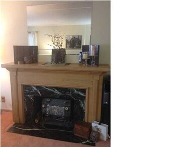 Decorative Fireplace in Living room