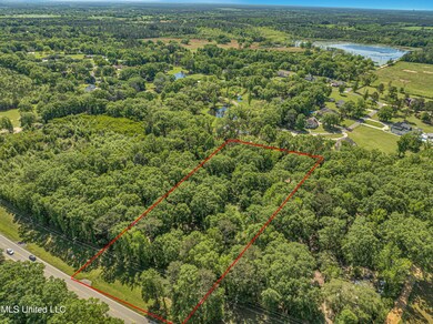 2838 Highway 43 S, Picayune, MS 39466 - photo 2