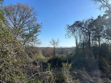 0 County Road 135 unit 25498670, Stevenson, AL 35772 - photo 3