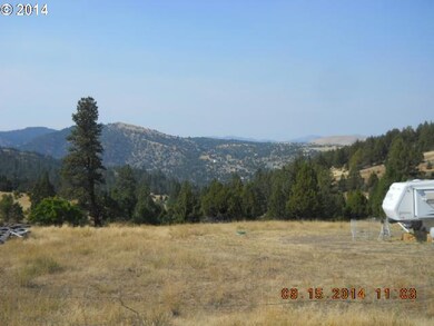 60526 Marysville Ln, Canyon City, OR 97820 - photo 5