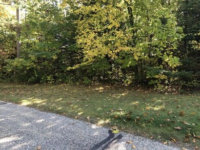 Lots 2 & 3 W Etherington St, MacKinaw City, MI 49701 - photo 5