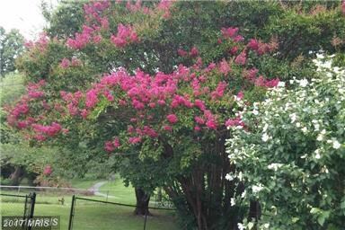 516 Hill Rd, Hyattsville, MD 20785 - photo 5