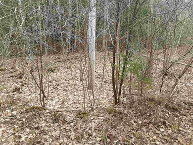 2 Highland Cir, Lyndon, VT 05851 - photo 2