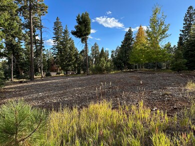 Cleared area