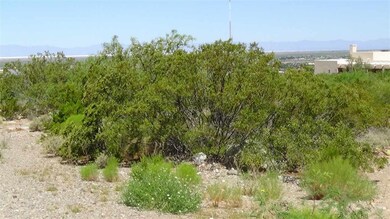 0 Alamo Canyon Rd unit 166815, Alamogordo, NM 88310 - photo 4