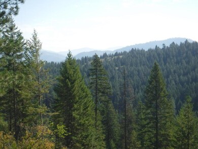 Lot 4 Moose Ridge Way, Loon Lake, WA 99148 - photo 7