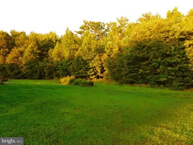 10339 Stewards Chance Ln, White Plains, MD 20695 - photo 4