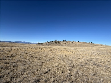 2665 Caddo Rd, Hartsel, CO 80449 - photo 3