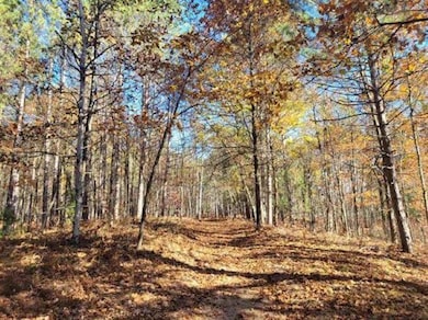 3385 Jones Rd, Beaverton, MI 48612 - photo 4