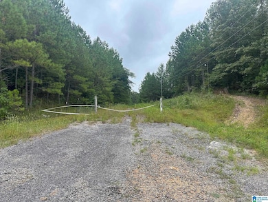 715 Fallview Ct, Odenville, AL 35120 - photo 2