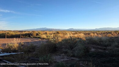 303 Tulie Gate Rd, Tularosa, NM 88352 - photo 4
