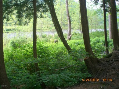 Creek View