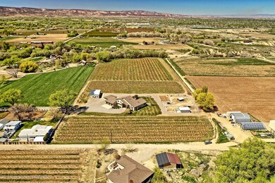 DJI_0677_78_79_80_81A