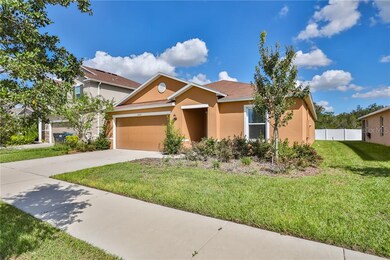 14320 Romeo Blvd, Wimauma, FL 33598 - photo 2