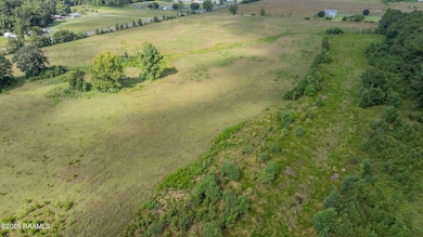 Tbd Hwy 190, Leblanc, LA 70651 - photo 4