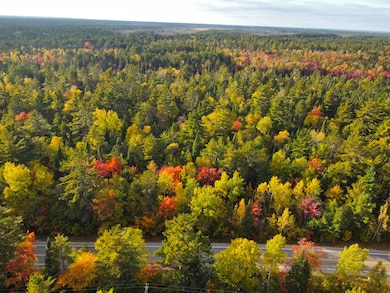 14859 N Whitefish Point Rd, Paradise, MI 49768 - photo 4