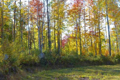 29 Gordon Hill Rd, New Hampton, NH 03256 - photo 3