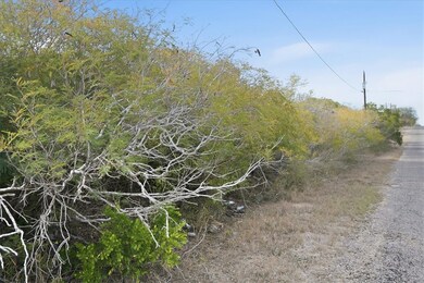 00 Ranger Dr, Sandia, TX 78383 - photo 4
