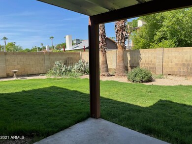 Grass in backyard