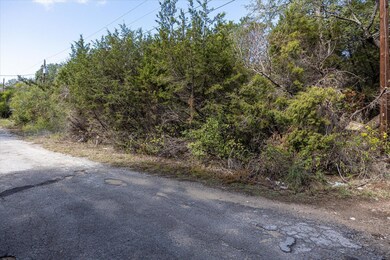 814 Hedgerow Trail, Granbury, TX 76048 - photo 3