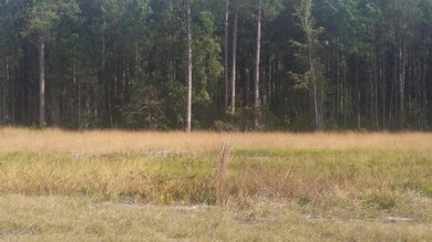 0 Bartram Trail unit 743343, Callahan, FL 32011 - photo 2