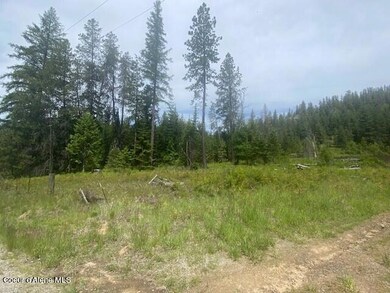 NNA (7800) 20 Ac Blue Lake Rd, Priest River, ID 83856 - photo 7