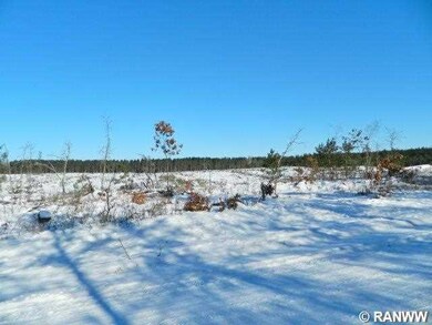 Pcl 3 Woodland Pass, Danbury, WI 54830 - photo 3