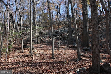 0 Cedar Rd, Strasburg, VA 22657 - photo 3