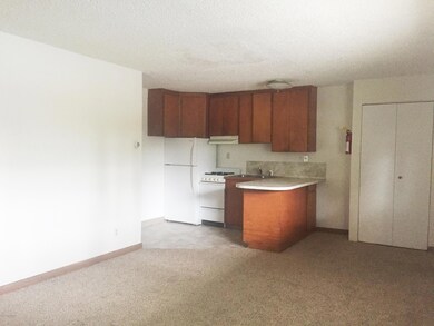 3905 Iowa Dr unit 1, Anchorage, AK 99517 - photo 5