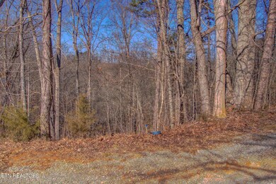 IMG_6930_1_2_3_4_5_6